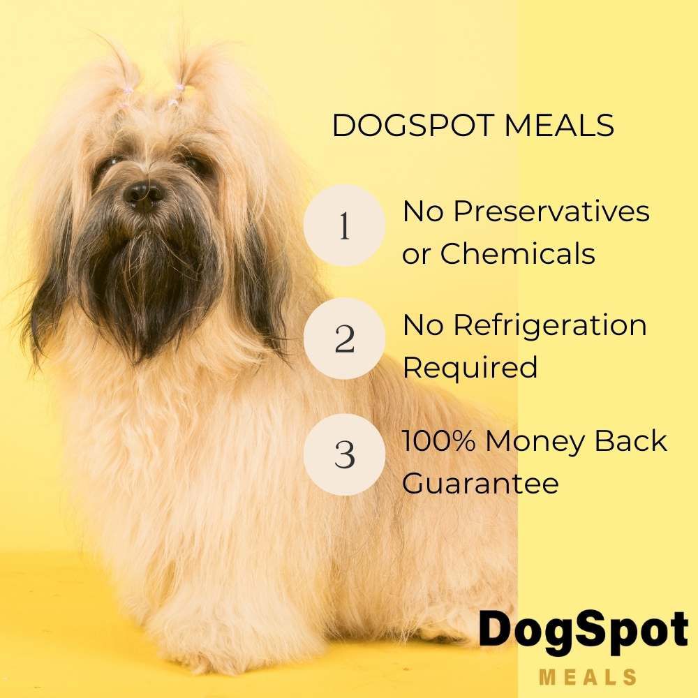 Shih clearance poo diet