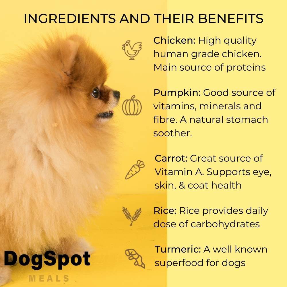 Chicken and Rice with Goodness of Curcumin - Food for Giant Breed