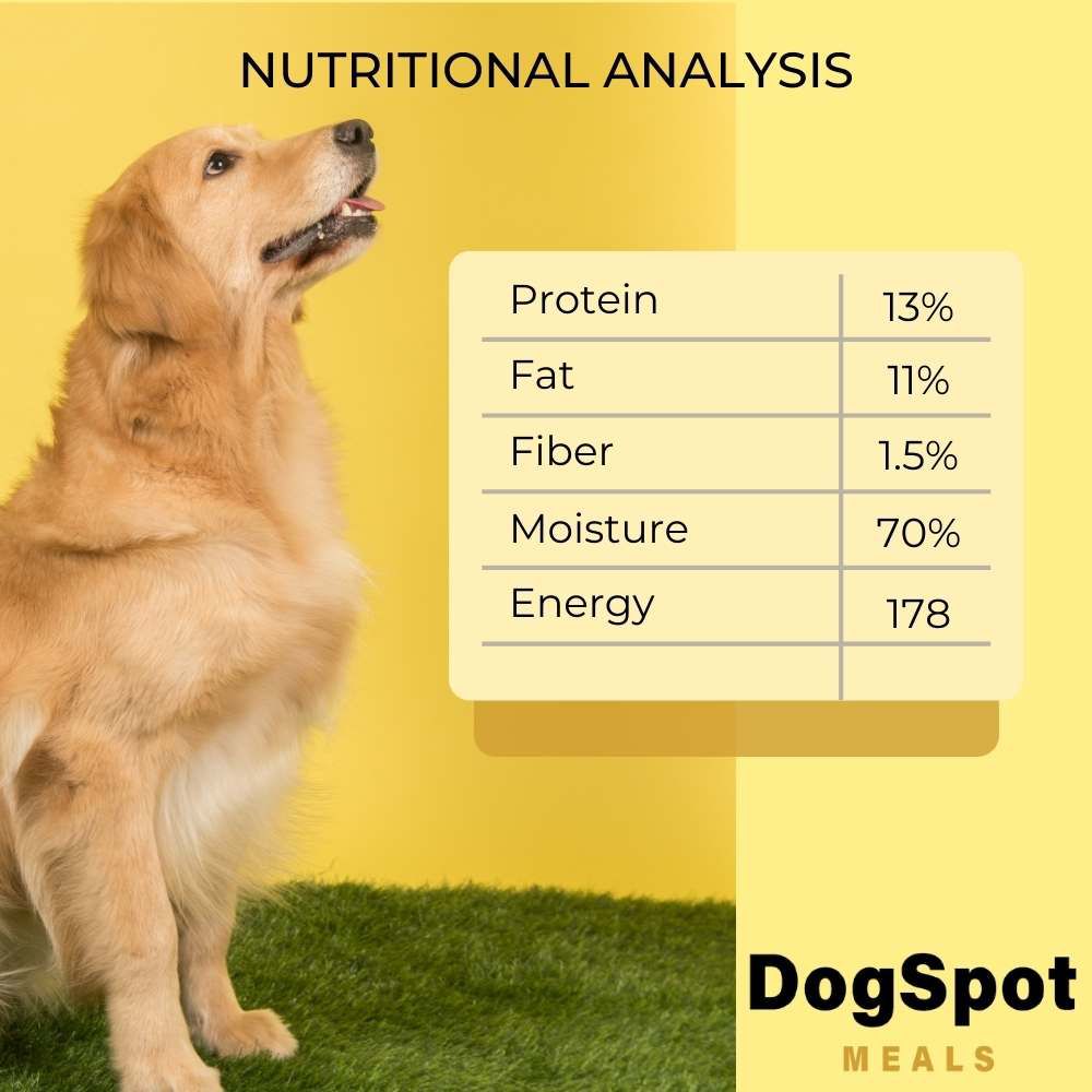 Chicken and Rice with Goodness of Curcumin - Food for Indie-Special Breed