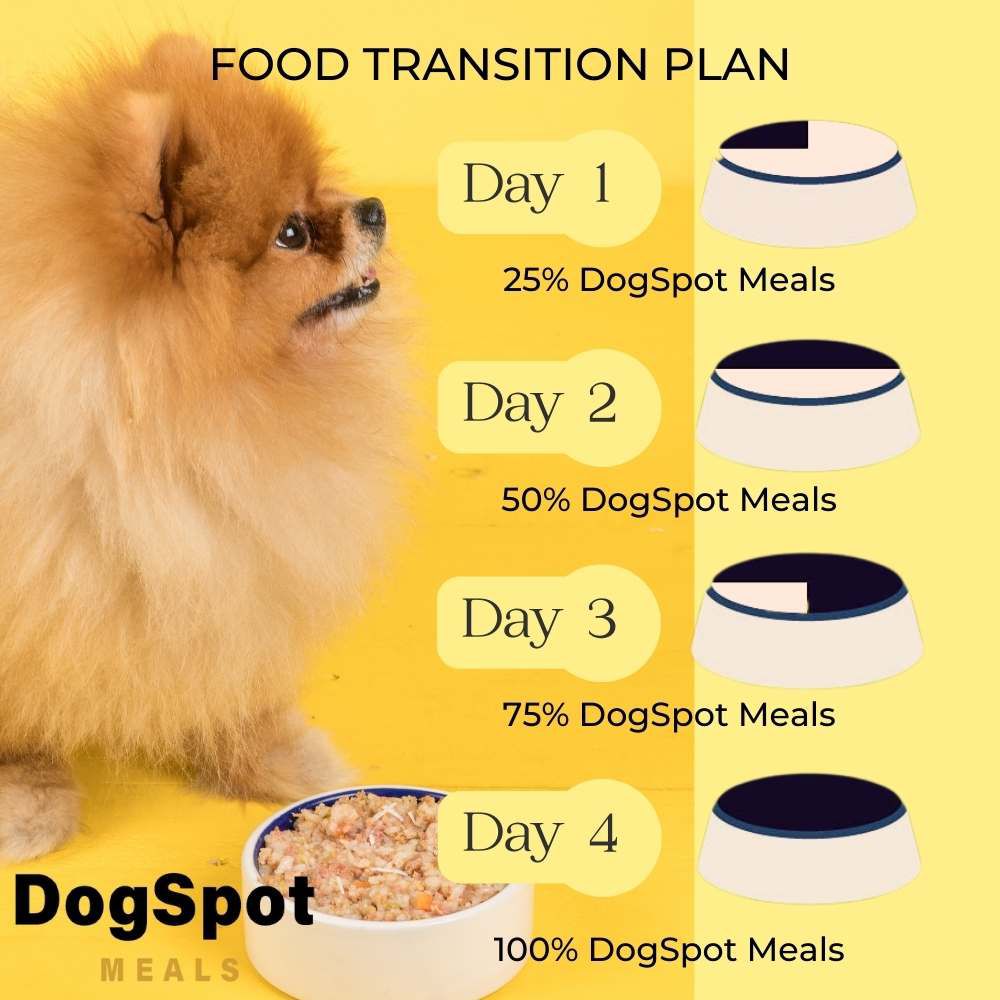 Pomeranian clearance feeding guide